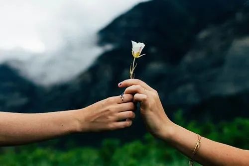 Tha thứ cho người đã làm tổn thương mình.