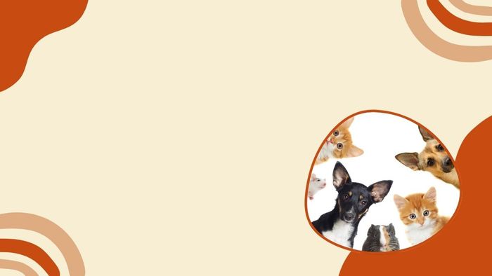 Background Powerpoint đẹp mắt tạo điểm nhấn cho bài thuyết trình