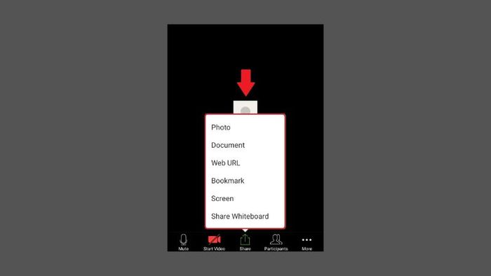 tai-phan-mem-trans-24