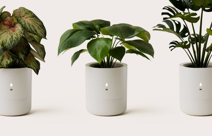 Chậu trồng cây thông minh LeafyPod