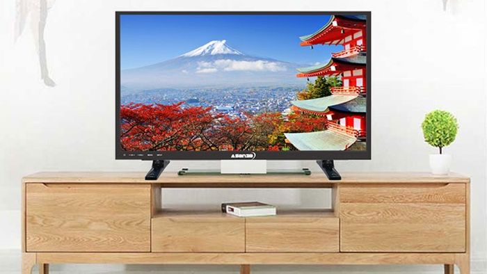 tivi-gia-re-duoi-3-trieu-6