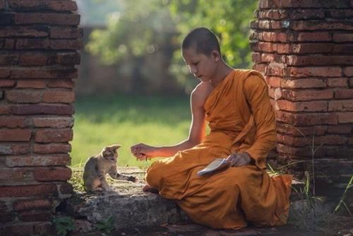 Có 4 kiểu người mà chúng ta không được phép làm hại họ.