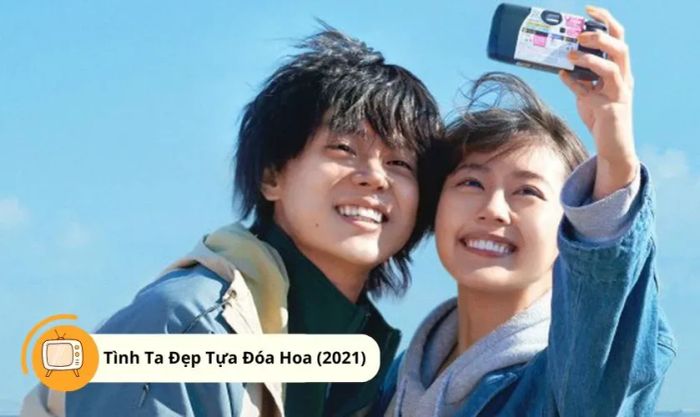 Tình Ta Đẹp Tựa Đóa Hoa (2021) - We Made A Beautiful Bouquet (2021) là bộ phim đầy cảm xúc kể về tình yêu thanh xuân và những khó khăn trong cuộc sống.