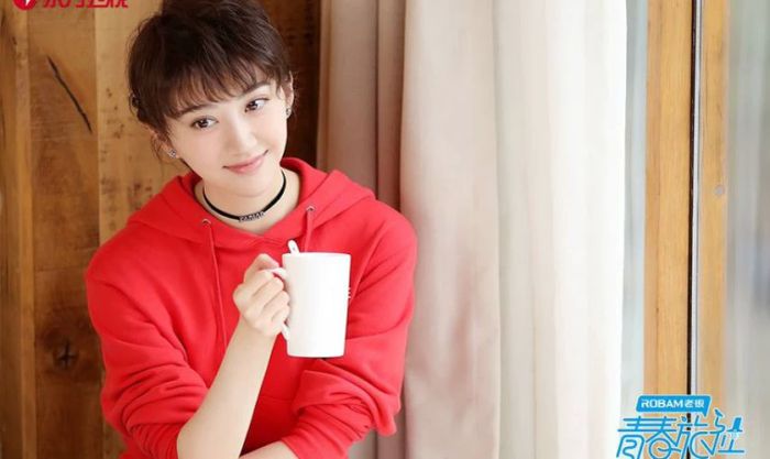Danh sách các chương trình truyền hình có sự tham gia của Cảnh Điềm: