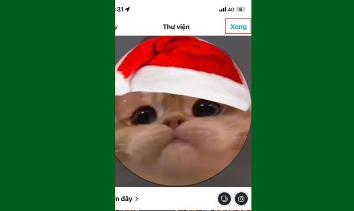 Chọn ảnh mèo Giáng sinh từ thư viện ảnh và nhấn Xong để cập nhật avatar.