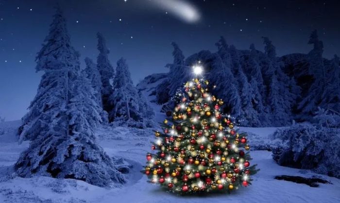 Bộ hình ảnh Giáng sinh đẹp nhất trên thế giới