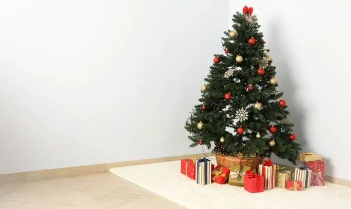Hình ảnh cây thông Noel nhỏ nhắn và xinh xắn
