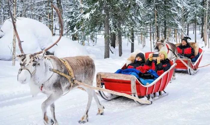 Hình ảnh Noel với lớp tuyết trắng phủ đầy