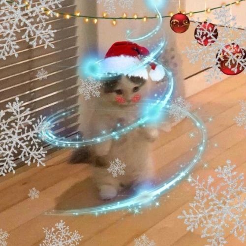 Avatar mèo Giáng sinh meme trong không gian tuyết rơi kỳ diệu như phép thuật