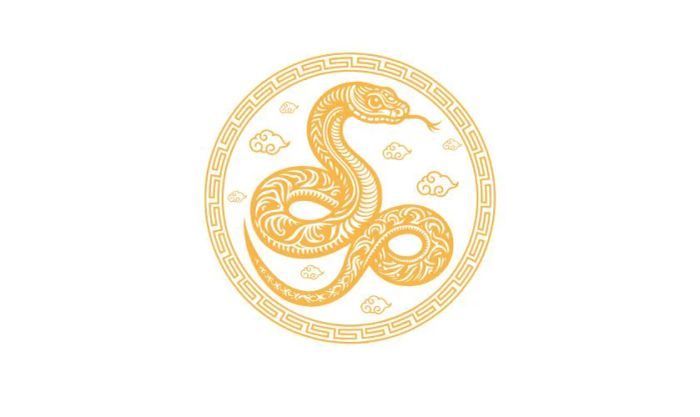 Logo vàng nhẹ nhàng, tạo cảm giác ấm áp và dễ chịu