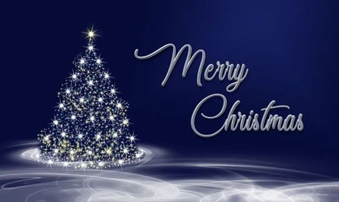 Hình ảnh cây thông sáng bừng với những ánh đèn lung linh tuyệt đẹp