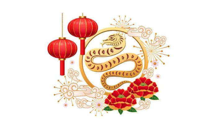 Logo Tết 2025 với họa tiết lồng đèn dễ thương mang lại cảm giác vui tươi và rộn ràng cho mùa lễ hội. Với thiết kế tinh tế, những chiếc lồng đèn này sẽ thu hút ánh nhìn và mang đến không khí Tết tràn ngập niềm vui.
