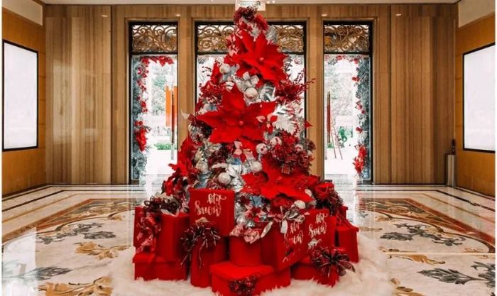 Cây thông Noel tuyệt đẹp được trang trí với đầy những hộp quà rực rỡ