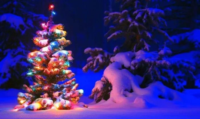 Cây thông Noel đẹp lung linh trong đêm tuyết phủ