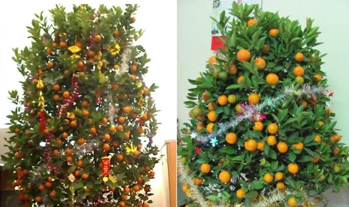 Cách trang trí cây quất với dây kim tuyến mang đến không gian Tết đầy huyền bí và bắt mắt.