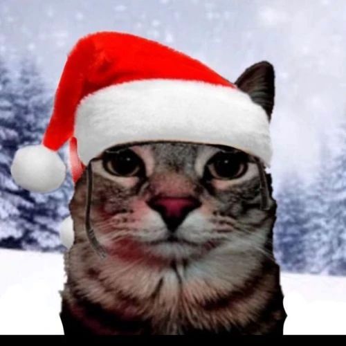 Avatar mèo Giáng sinh meme giữa không gian tuyết rơi với sự hài hước dễ thương