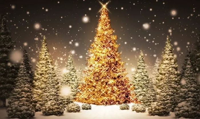 Hình ảnh cây thông Noel sáng rực với ánh đèn lung linh