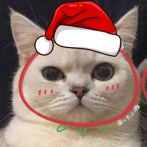 Avatar đôi mèo Giáng sinh siêu dễ thương, sẵn sàng làm bừng sáng mùa lễ hội của bạn