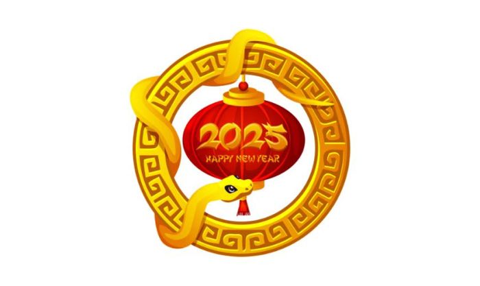 Logo Tết 2025 sử dụng họa tiết lồng đèn đơn giản, nhưng lại mang đến sự thanh thoát và trang nhã. Hình ảnh này hòa quyện giữa nét truyền thống và hiện đại, dễ dàng phù hợp với nhiều phong cách thiết kế khác nhau.