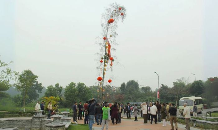 Cây nêu ngày Tết thường treo những vật gì?