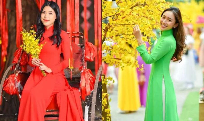 Tạo dáng chụp ảnh áo dài cách tân với cây mai