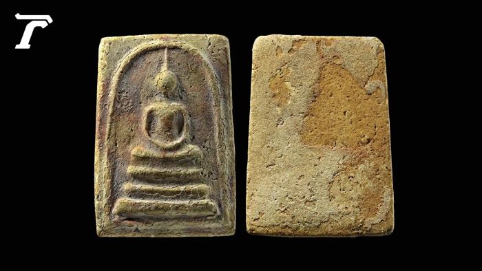 Tham gia các sự kiện âm nhạc