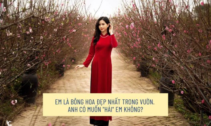Caption đăng ảnh áo dài Tết thả thính ngọt ngào, dễ thương nhất