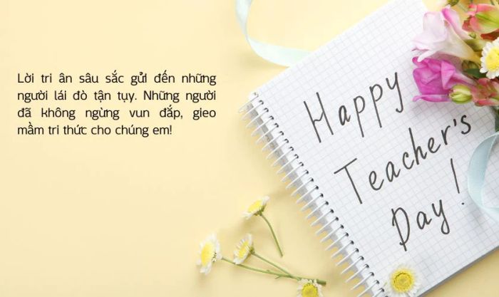 Lời ngỏ nhân ngày 20/11