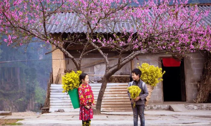 Vào dịp Tết Dương lịch 2025, Hà Giang sẽ có thời tiết khô ráo và chút lạnh nhẹ