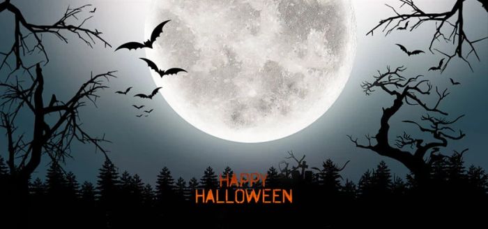 Bộ sưu tập ảnh Halloween với Background tối tăm