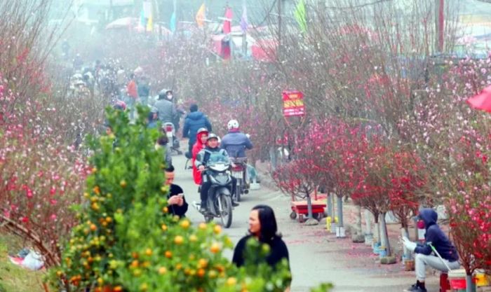 Hà Nội sẽ se lạnh, cần giữ ấm trong dịp Tết Dương lịch 2025