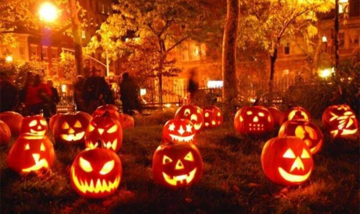 Bí ngô là biểu tượng đặc trưng không thể thiếu trong lễ hội Halloween.