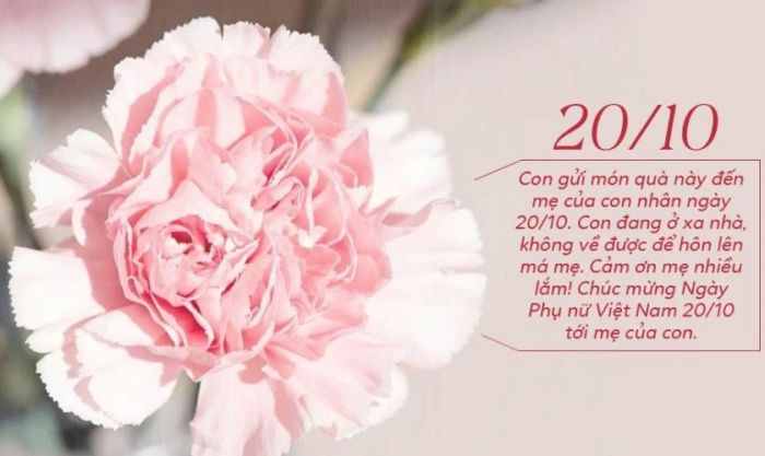 Hình ảnh kèm lời chúc mừng dành cho ngày Phụ nữ Việt Nam