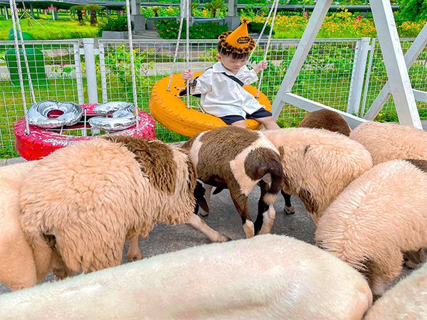 An Hao Solar Power Tourist Area Image 2