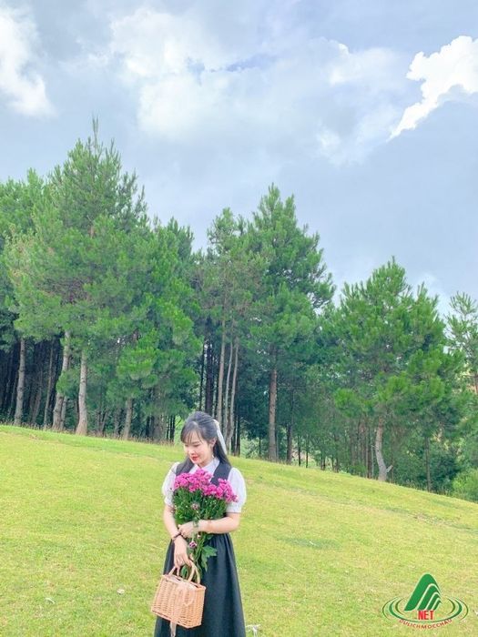 Hua Tat Pine Forest Image 1