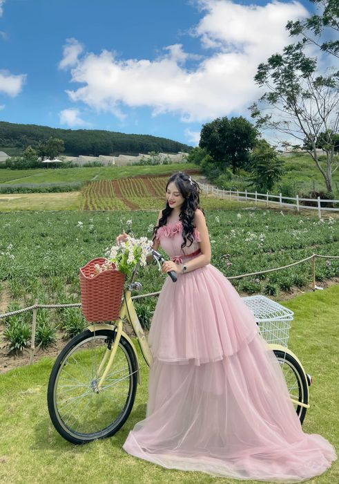 Diệp Ngân Anh- Travel Dresses and Party Dress Designs photo 2