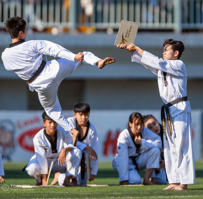 Taekwondo Bạch Hổ Image 1
