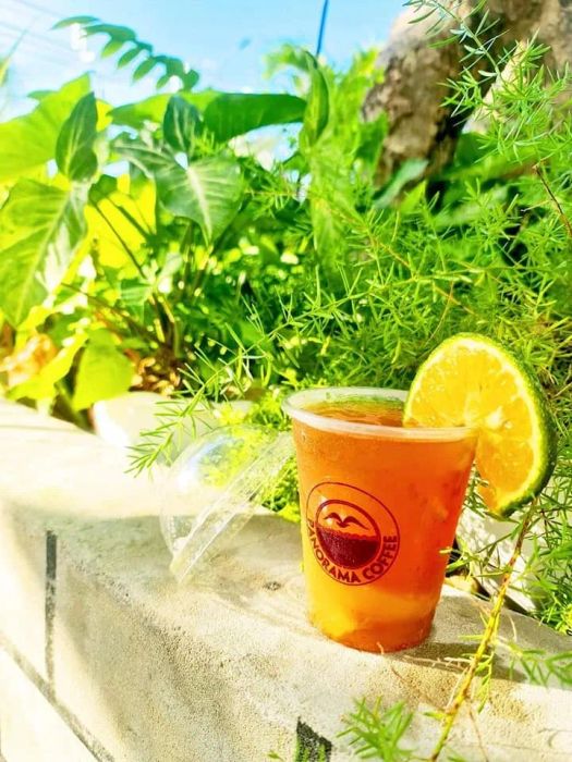 Drinks at Panorama Garden Cafe - Image 1