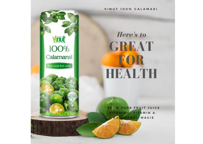 Nam Viet Food & Beverage Co., Ltd. - Vinut Brand Image 2