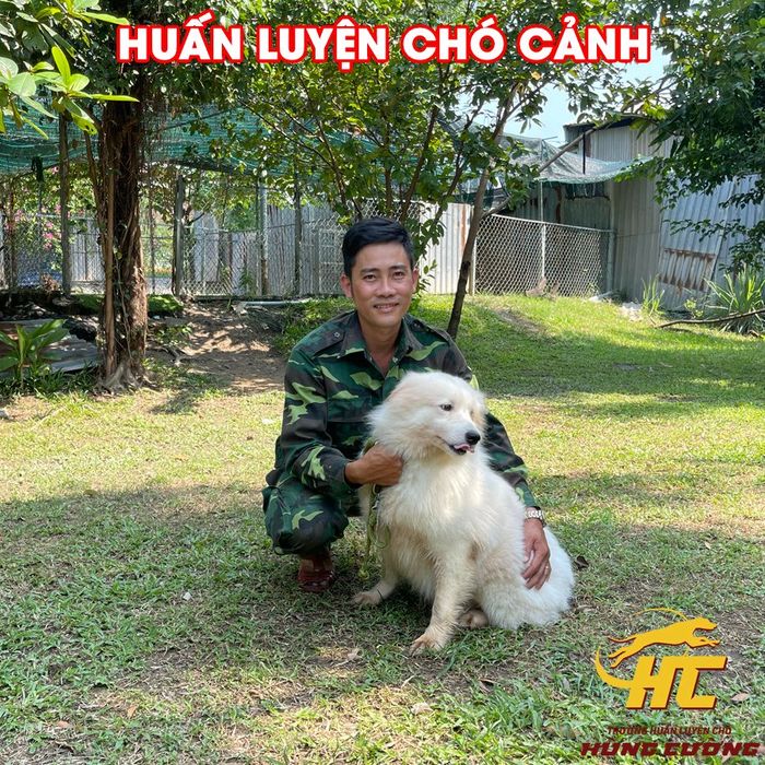 Hùng Cường Dog Training School Image 1