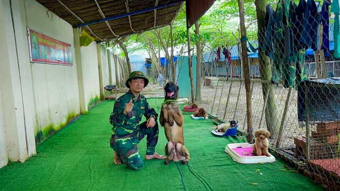 Professional Dog Training School 868 image 2
