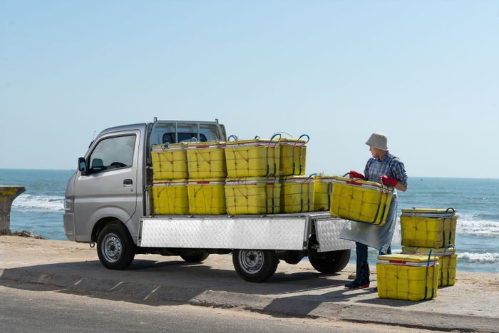 Suzuki Truck Image 3