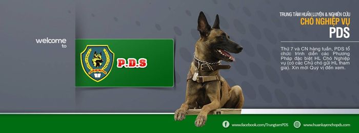 PDS Professional Dog Training Center - Vietnam image 1