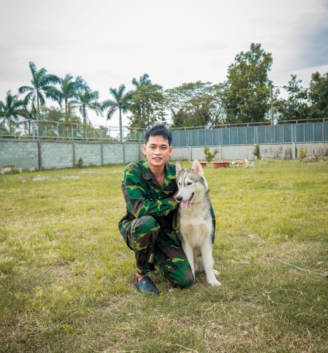 Divine Canine Training School 2 image 1