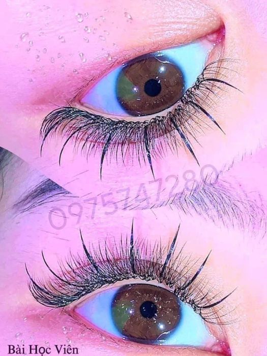 Blue’s Academy Image 2