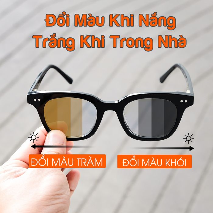 Eye Plus presents an expanded view of its diverse eyewear collection in this second image, showcasing a variety of styles to suit different preferences, from casual to more formal looks.