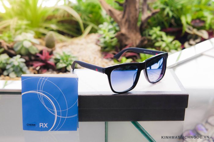 Bich Ngoc Eyewear Image 1