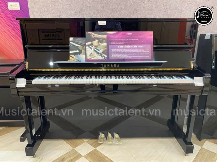 Music Talent Musical Instruments Image 1