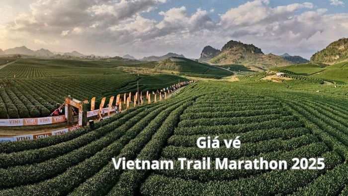 Bảng giá vé của giải Vietnam Trail Marathon 2025