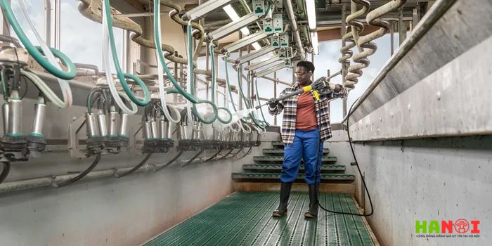 Những lợi ích vượt trội khi sử dụng máy xịt rửa sàn công nghiệp Kaercher